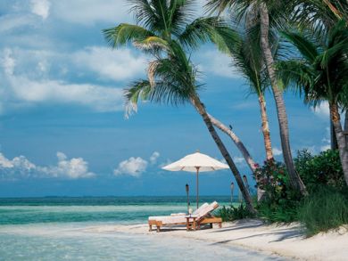 Palm Island Vacation Rental